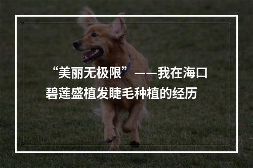 “美丽无极限”——我在海口碧莲盛植发睫毛种植的经历