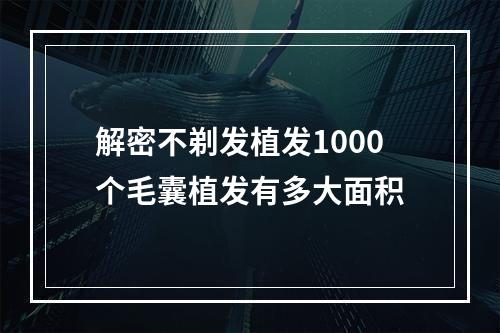 解密不剃发植发1000个毛囊植发有多大面积