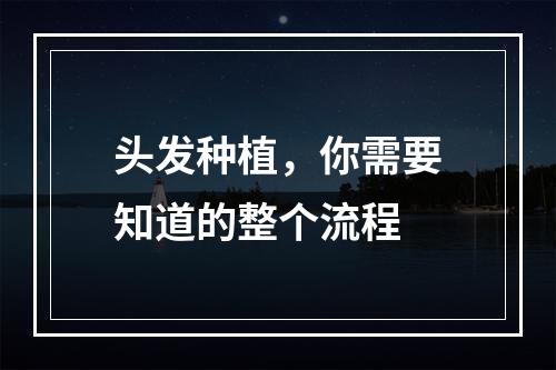 头发种植，你需要知道的整个流程