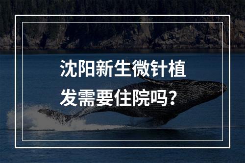 沈阳新生微针植发需要住院吗？