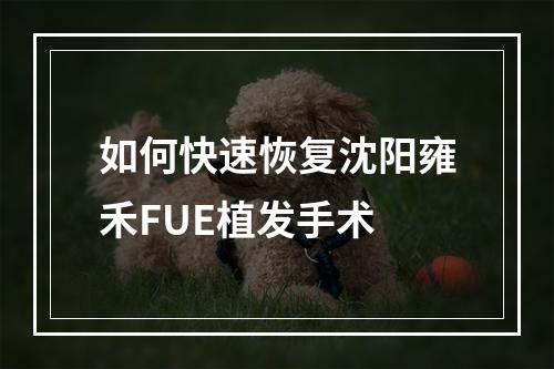 如何快速恢复沈阳雍禾FUE植发手术