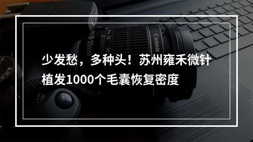 少发愁，多种头！苏州雍禾微针植发1000个毛囊恢复密度