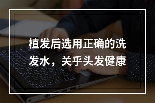 植发后选用正确的洗发水，关乎头发健康