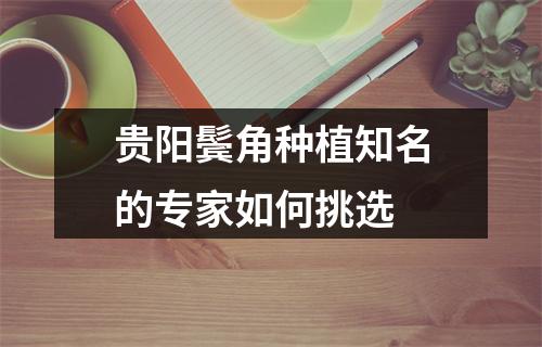 贵阳鬓角种植知名的专家如何挑选