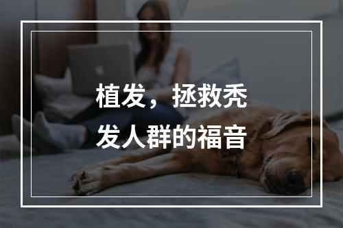 植发，拯救秃发人群的福音