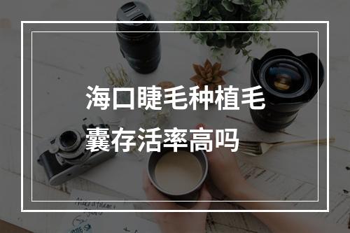 海口睫毛种植毛囊存活率高吗