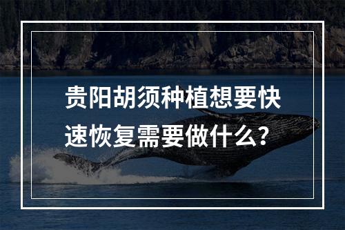 贵阳胡须种植想要快速恢复需要做什么？