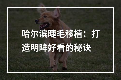 哈尔滨睫毛移植：打造明眸好看的秘诀