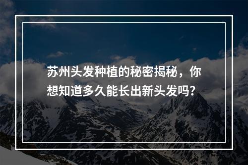 苏州头发种植的秘密揭秘，你想知道多久能长出新头发吗？