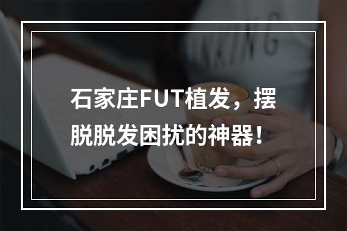 石家庄FUT植发，摆脱脱发困扰的神器！