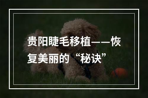 贵阳睫毛移植——恢复美丽的“秘诀”