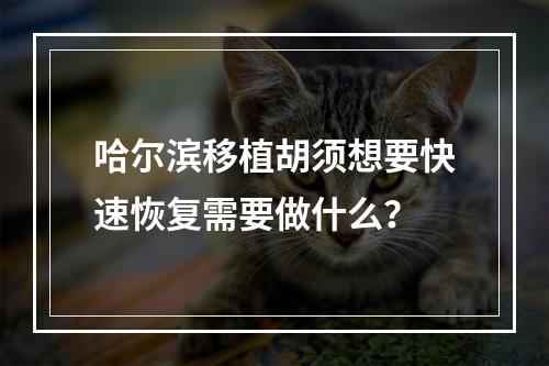 哈尔滨移植胡须想要快速恢复需要做什么？