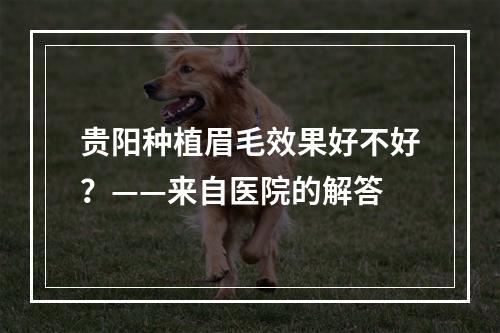 贵阳种植眉毛效果好不好？——来自医院的解答