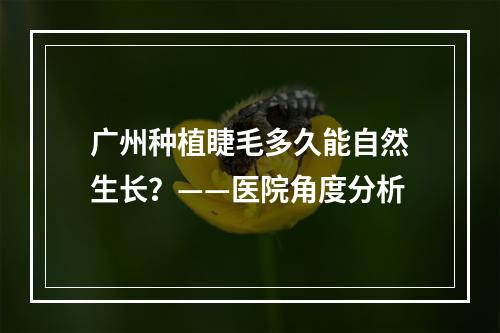 广州种植睫毛多久能自然生长？——医院角度分析