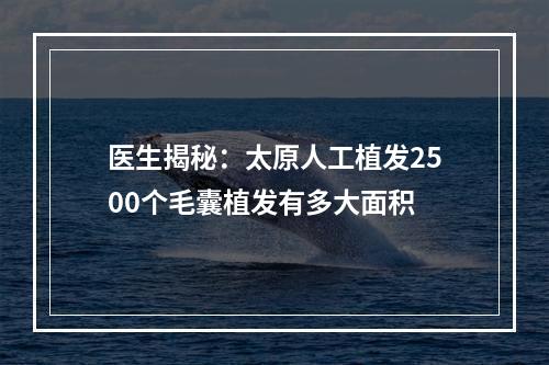 医生揭秘：太原人工植发2500个毛囊植发有多大面积