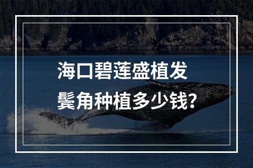 海口碧莲盛植发 鬓角种植多少钱？