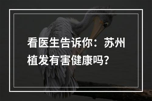 看医生告诉你：苏州植发有害健康吗？