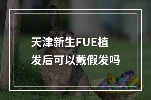 天津新生FUE植发后可以戴假发吗