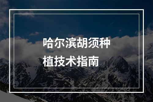 哈尔滨胡须种植技术指南