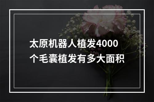 太原机器人植发4000个毛囊植发有多大面积