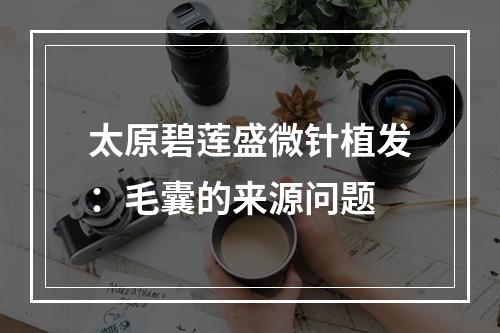 太原碧莲盛微针植发：毛囊的来源问题