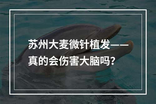 苏州大麦微针植发——真的会伤害大脑吗？