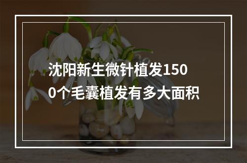 沈阳新生微针植发1500个毛囊植发有多大面积