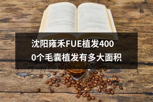 沈阳雍禾FUE植发4000个毛囊植发有多大面积