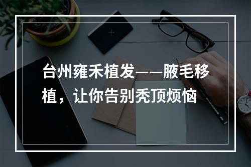 台州雍禾植发——腋毛移植，让你告别秃顶烦恼