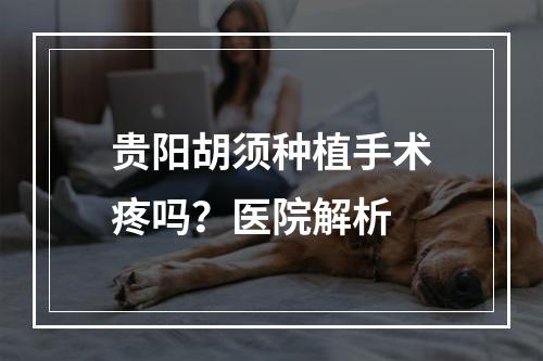 贵阳胡须种植手术疼吗？医院解析