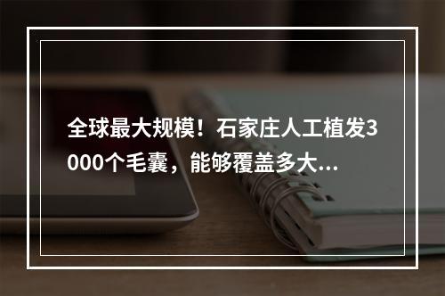 全球最大规模！石家庄人工植发3000个毛囊，能够覆盖多大面积？