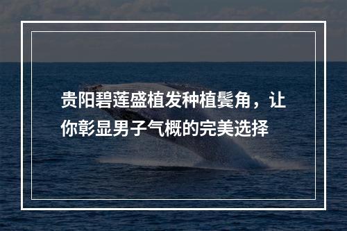 贵阳碧莲盛植发种植鬓角，让你彰显男子气概的完美选择