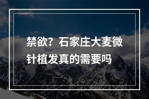 禁欲？石家庄大麦微针植发真的需要吗