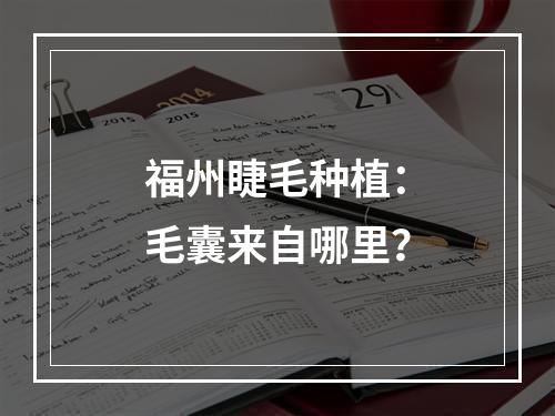 福州睫毛种植：毛囊来自哪里？