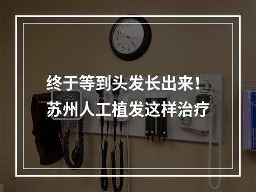 终于等到头发长出来！苏州人工植发这样治疗