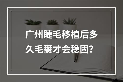 广州睫毛移植后多久毛囊才会稳固？