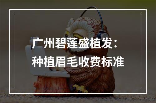 广州碧莲盛植发：种植眉毛收费标准