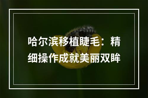 哈尔滨移植睫毛：精细操作成就美丽双眸