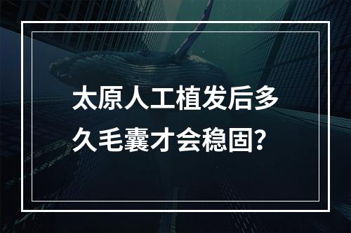 太原人工植发后多久毛囊才会稳固？