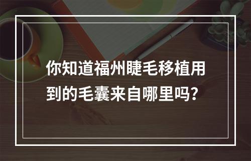 你知道福州睫毛移植用到的毛囊来自哪里吗？