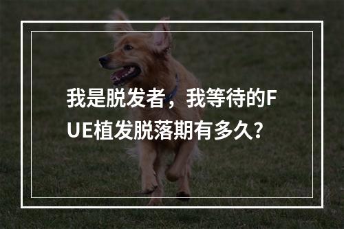 我是脱发者，我等待的FUE植发脱落期有多久？