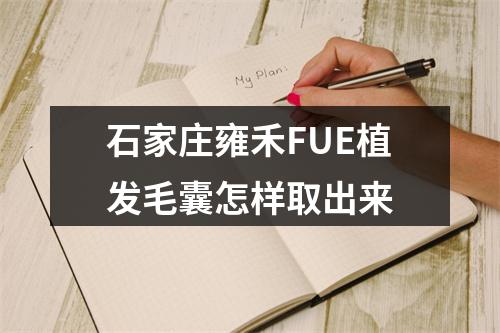 石家庄雍禾FUE植发毛囊怎样取出来