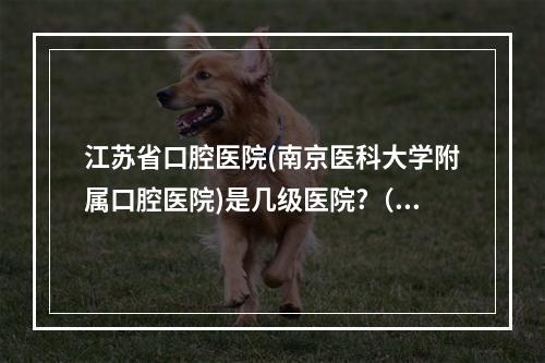 江苏省口腔医院(南京医科大学附属口腔医院)是几级医院?（南京有哪些口腔医院）