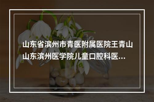 山东省滨州市青医附属医院王青山山东滨州医学院儿童口腔科医师简介（大连口腔医院的专家介绍）