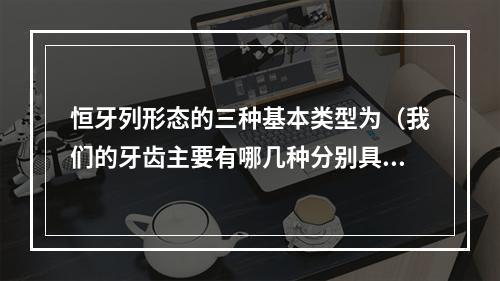 恒牙列形态的三种基本类型为（我们的牙齿主要有哪几种分别具有怎样的功能?）