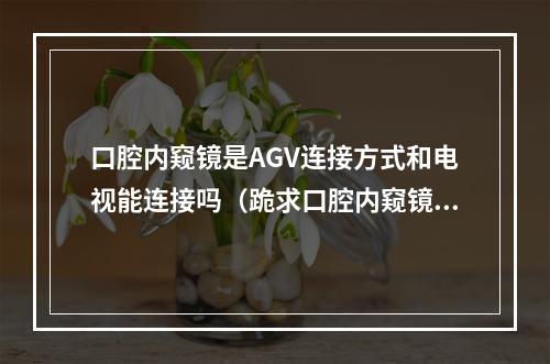 口腔内窥镜是AGV连接方式和电视能连接吗（跪求口腔内窥镜的使用方法,越详细越好,请大家帮帮忙吧）