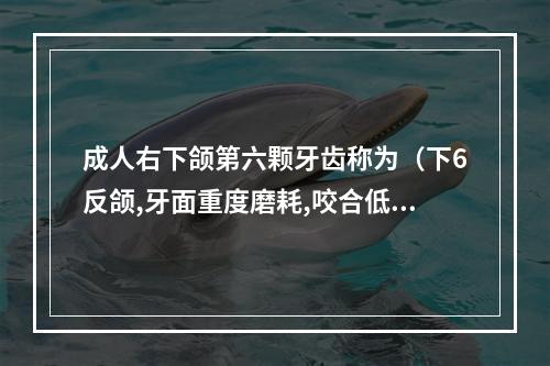 成人右下颌第六颗牙齿称为（下6反颌,牙面重度磨耗,咬合低,能做冠吗?）