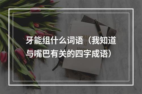 牙能组什么词语（我知道与嘴巴有关的四字成语）