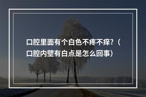 口腔里面有个白色不疼不痒?（口腔内壁有白点是怎么回事）