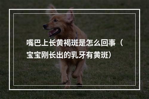 嘴巴上长黄褐斑是怎么回事（宝宝刚长出的乳牙有黄斑）